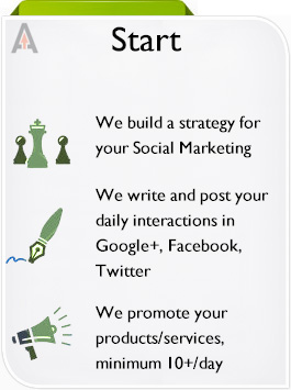 Outsourced Social Media Management Services Company