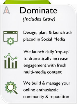 Outsources social media management facebook google+ twitter pinterest instagram